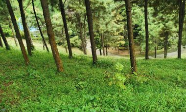 FOR SALE! 639sqm Residential Lot at Crosswinds - Peak View, Brittany Subdivision Tagaytay
