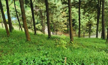 FOR SALE! 639sqm Residential Lot at Crosswinds - Peak View, Brittany Subdivision Tagaytay