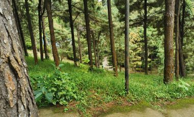 FOR SALE! 639sqm Residential Lot at Crosswinds - Peak View, Brittany Subdivision Tagaytay