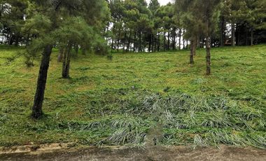 FOR SALE! 639sqm Residential Lot at Crosswinds - Peak View, Brittany Subdivision Tagaytay
