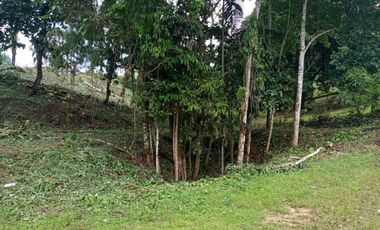 OPORTUNIDAD en Silanche, Hermoso Lote 1500 m² a $ 16.66 c/m² LOTE Nro. 181