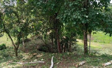 OPORTUNIDAD en Silanche, Hermoso Lote 1500 m² a $ 16.66 c/m² LOTE Nro. 181