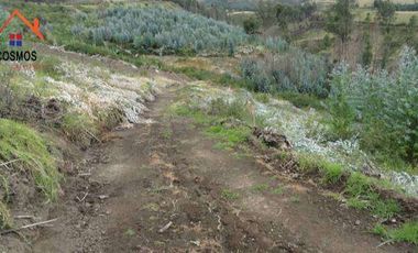 Venta de terreno al filo de panamericana en Otavalo sector Cajas