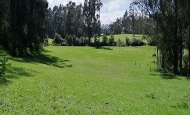 Quinta de Venta en Amaguaña, Ecuador.