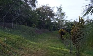 Vendo Terreno 10,80 Has Tarapoto Perú
