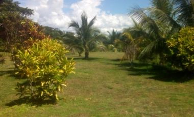 Vendo Terreno 10,80 Has Tarapoto Perú