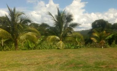 Vendo Terreno 10,80 Has Tarapoto Perú