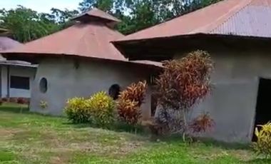 Vendo Terreno 10,80 Has Tarapoto Perú