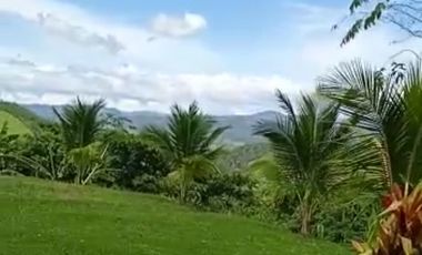 Vendo Terreno 10,80 Has Tarapoto Perú