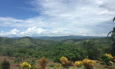 Vendo Terreno 10,80 Has Tarapoto Perú
