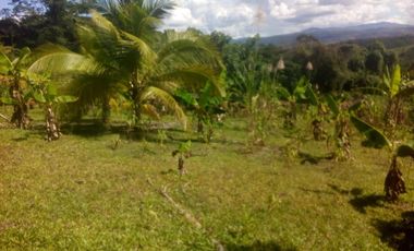 Vendo Terreno 10,80 Has Tarapoto Perú