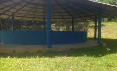 Vendo Terreno 10,80 Has Tarapoto Perú