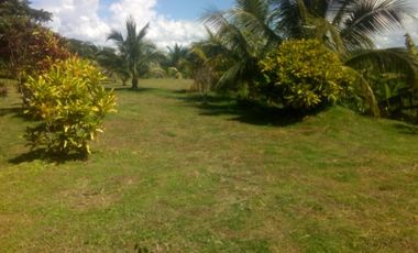 Vendo Terreno 10,80 Has Tarapoto Perú