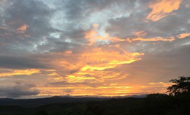 Vendo Terreno 10,80 Has Tarapoto Perú