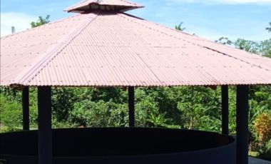 Vendo Terreno 10,80 Has Tarapoto Perú