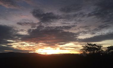 Vendo Terreno 10,80 Has Tarapoto Perú