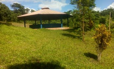 Vendo Terreno 10,80 Has Tarapoto Perú