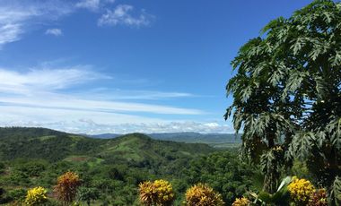 Vendo Terreno 10,80 Has Tarapoto Perú