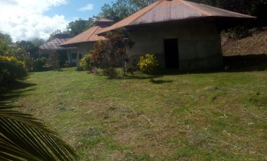 Vendo Terreno 10,80 Has Tarapoto Perú