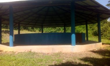 Vendo Terreno 10,80 Has Tarapoto Perú