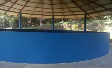 Vendo Terreno 10,80 Has Tarapoto Perú