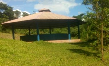 Vendo Terreno 10,80 Has Tarapoto Perú