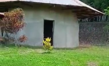 Vendo Terreno 10,80 Has Tarapoto Perú
