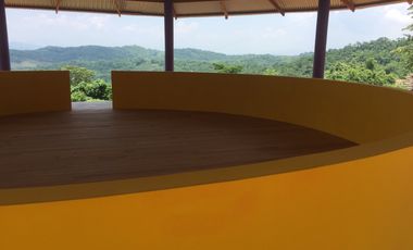 Vendo Terreno 10,80 Has Tarapoto Perú