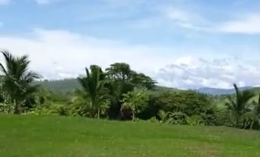 Vendo Terreno 10,80 Has Tarapoto Perú