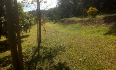 Vendo Terreno 10,80 Has Tarapoto Perú