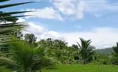 Vendo Terreno 10,80 Has Tarapoto Perú