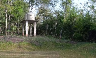Vendo Terreno 10,80 Has Tarapoto Perú