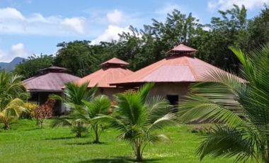 Vendo Terreno 10,80 Has Tarapoto Perú