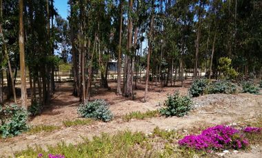 VENDE PARCELA CON CASA, CONDOMINIO BOSQUEMAR DE TUNQUEN, ALGARROBO, 4 DORMITORIOS, 5 BAÑOS, PISCINA, TERRAZA Y QUINCHO, FRENTE A SANTUARIO DE LA NATUR