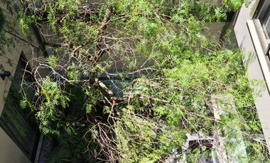 Departamento CON TERRAZA PRIVADA EN PLANTA BAJA, EN RENTA, Casa Nogal, Santa María La Ribera