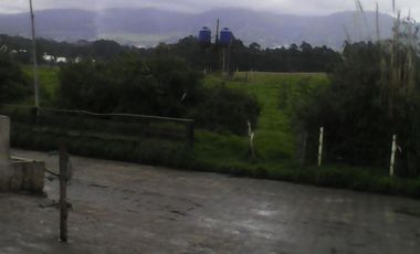 Hacienda Ganadera Plana en Cayambe apta para floricola