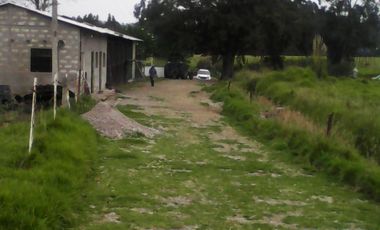 Hacienda Ganadera Plana en Cayambe apta para floricola