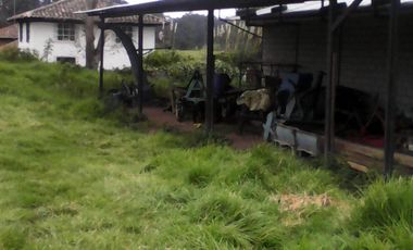 Hacienda Ganadera Plana en Cayambe apta para floricola