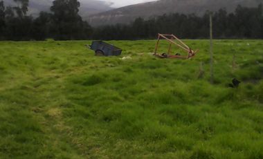 Hacienda Ganadera Plana en Cayambe apta para floricola