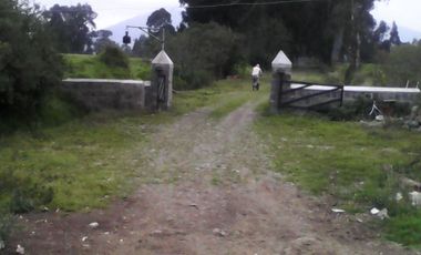 Hacienda Ganadera Plana en Cayambe apta para floricola