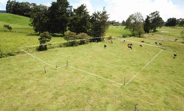 Vendo lote campestre en Llano de Ovejas – Espacio ideal para empezar tu proyecto