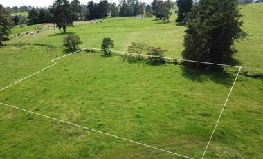 Vendo lote campestre en Llano de Ovejas – Espacio ideal para empezar tu proyecto