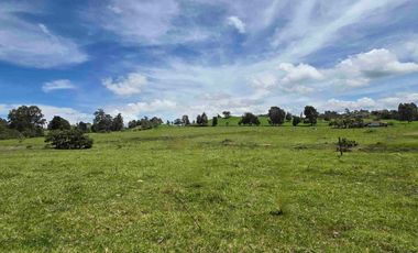 Vendo lote campestre en Llano de Ovejas – Espacio ideal para empezar tu proyecto