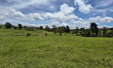 Vendo lote campestre en Llano de Ovejas – Espacio ideal para empezar tu proyecto