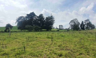 Vendo lote campestre en Llano de Ovejas – Espacio ideal para empezar tu proyecto