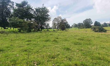 Vendo lote campestre en Llano de Ovejas – Espacio ideal para empezar tu proyecto