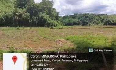 Lot in Coron, Palawan, 15 hectares, 170 per Sqm