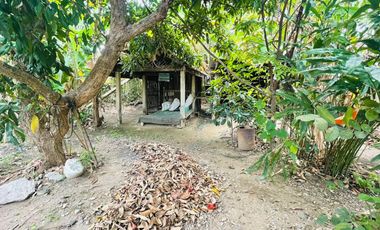 THAI STYLE HOUSE FOR RENT/SALE WITH LARGE LAND, SARAPHI CHIANG MAI