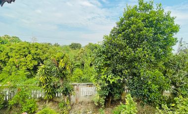 THAI STYLE HOUSE FOR RENT/SALE WITH LARGE LAND, SARAPHI CHIANG MAI