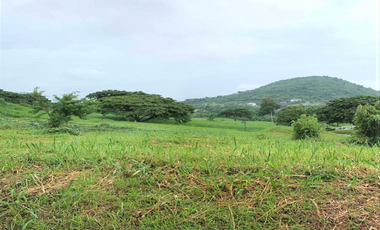 Premium Lot for Sale with Great View in Calamba Laguna